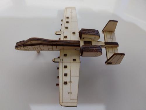 A10-Plane-1